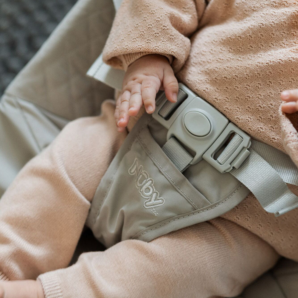 Musical Moves Baby Bouncer