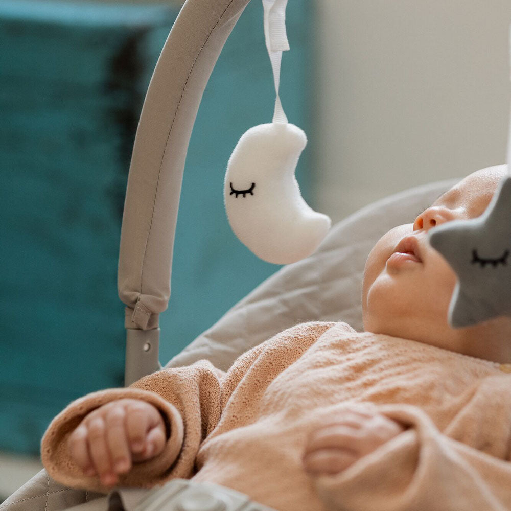 Musical Moves Baby Bouncer